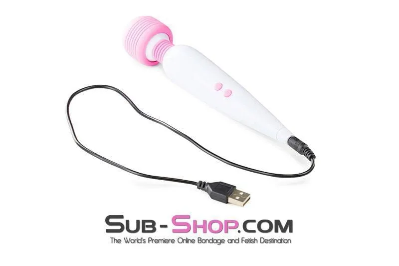 5778M      Rechargeable Multi-Function Mini Massage Stick - LAST CHANCE - Final Closeout!