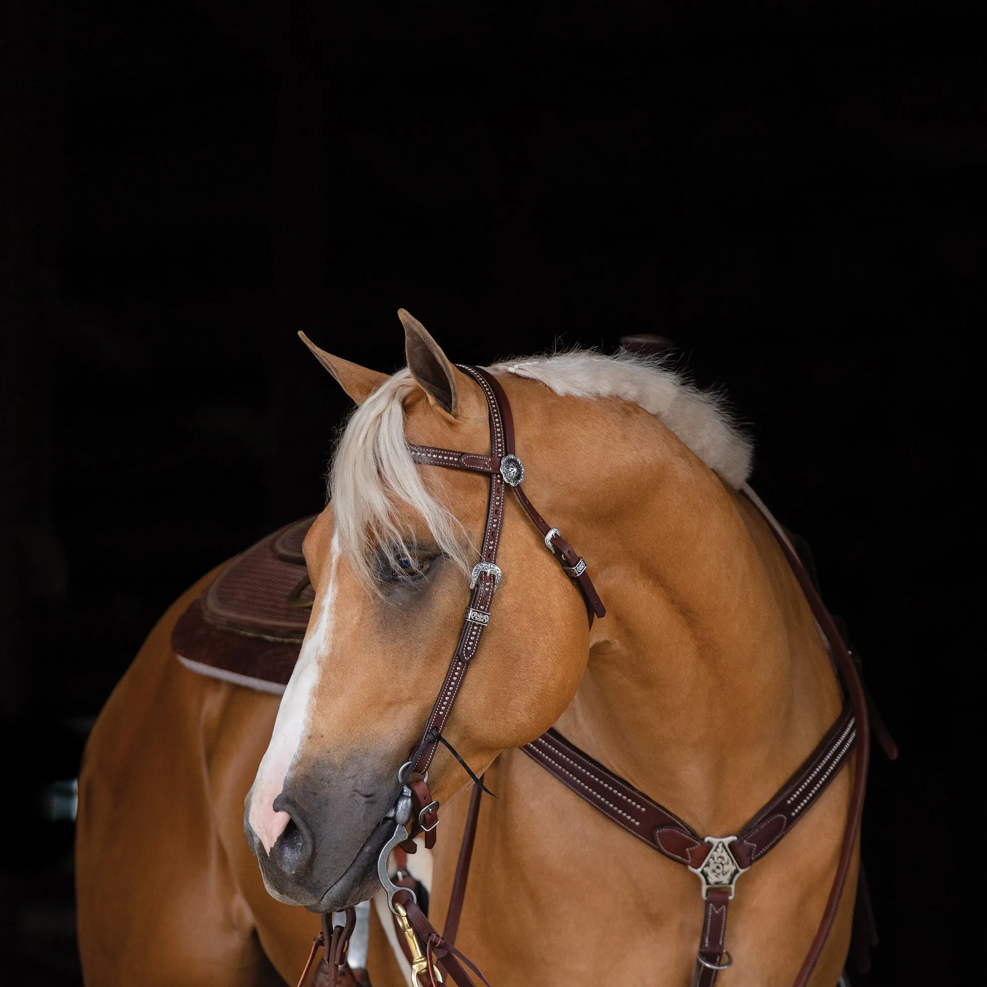 Austin Browband Headstall