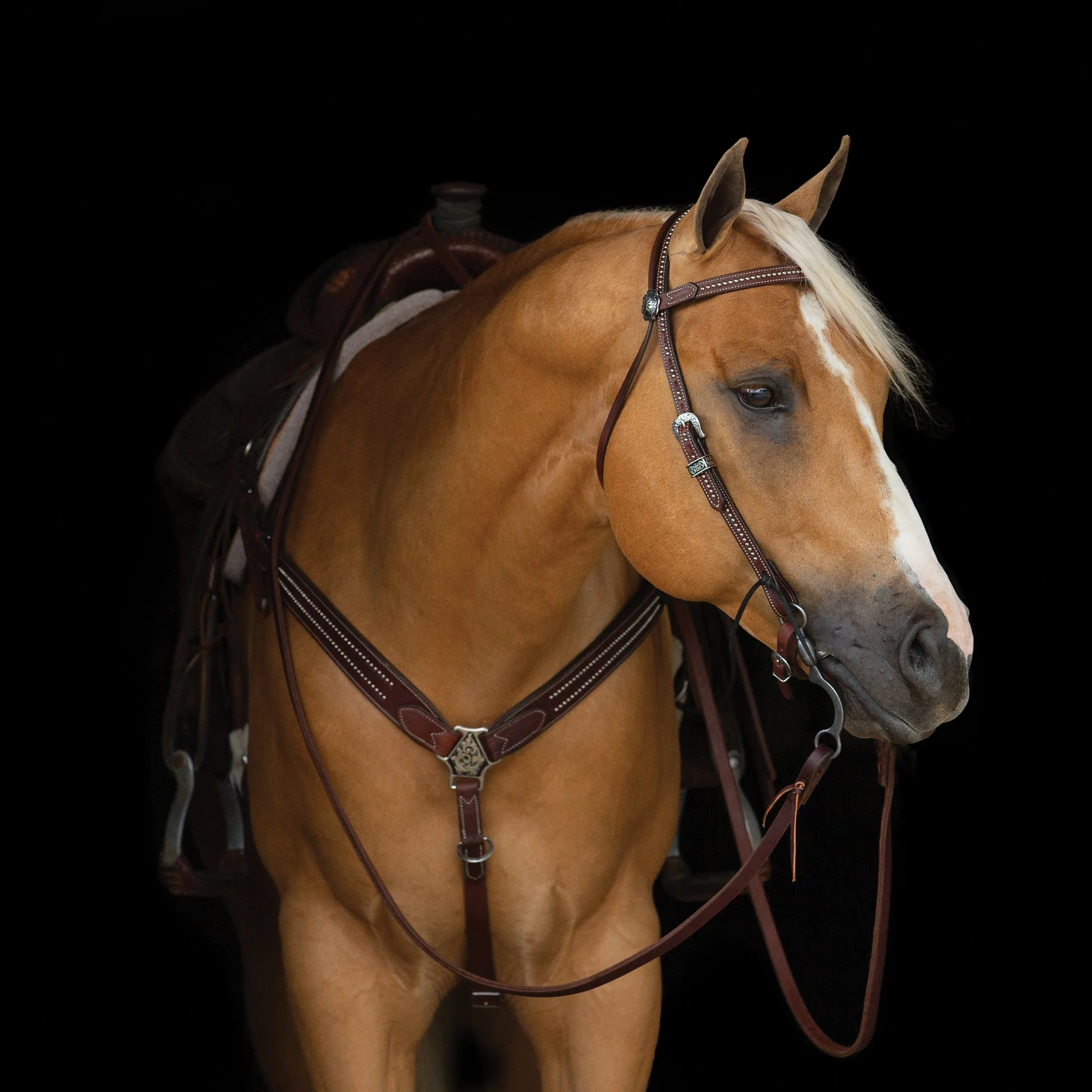 Austin Browband Headstall