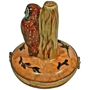 Barn Owl