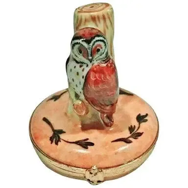 Barn Owl