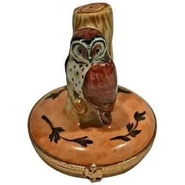 Barn Owl