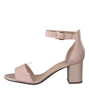 Deva Mae Dusty Rose