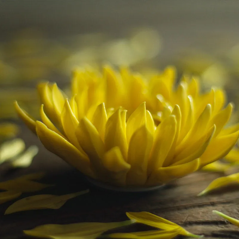 Handcrafted Ceramic Chrysanthemum Incense Burner and Holder