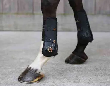 KENTUCKY TENDON ELASTIC BOOTS
