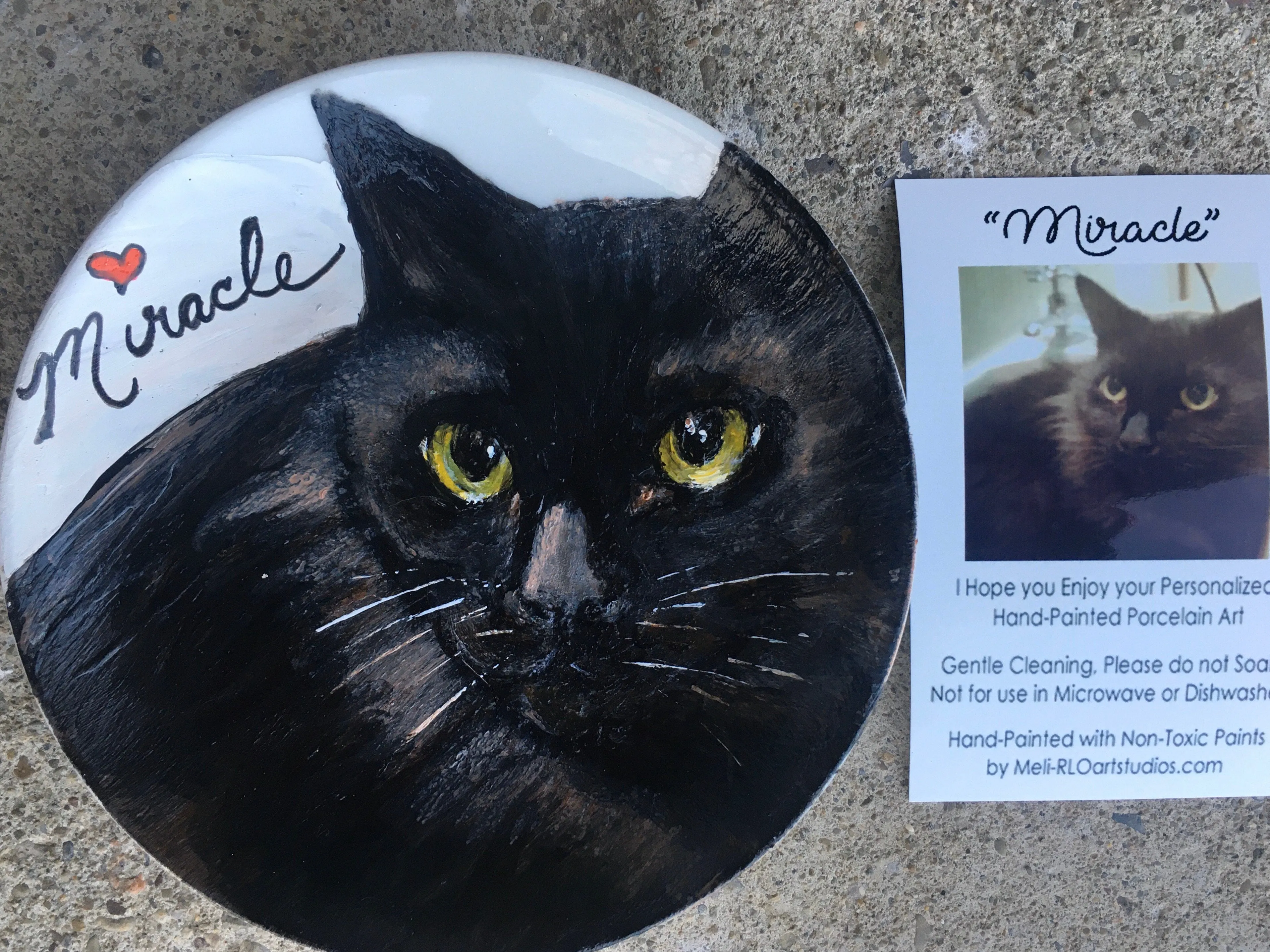 Porcelain Hand-Painted Custom Decorative Plates: Pets, Portraits etc..